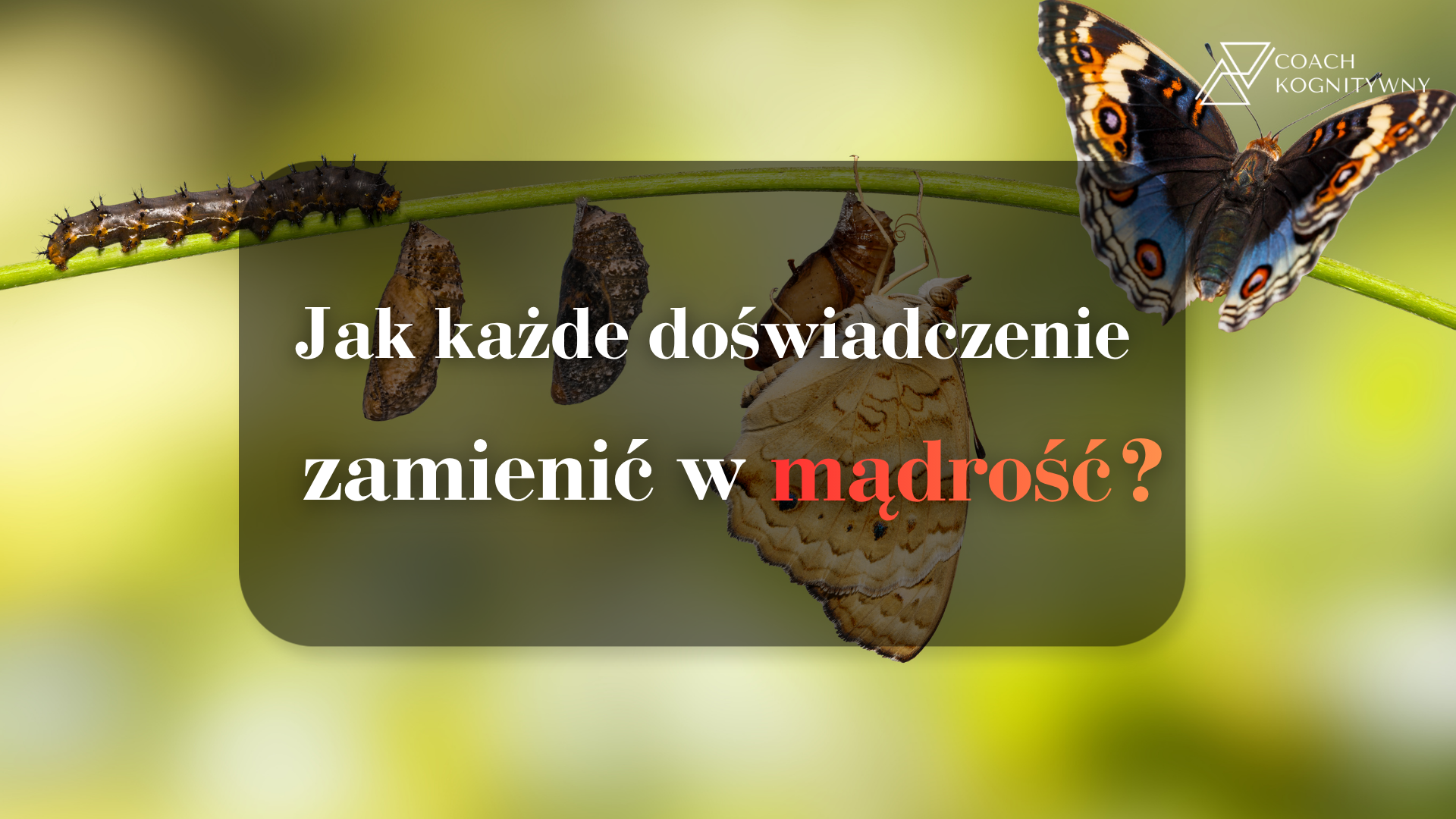 Mapa do samego siebie. Jak każde doświadczenie zamienić w mądrość